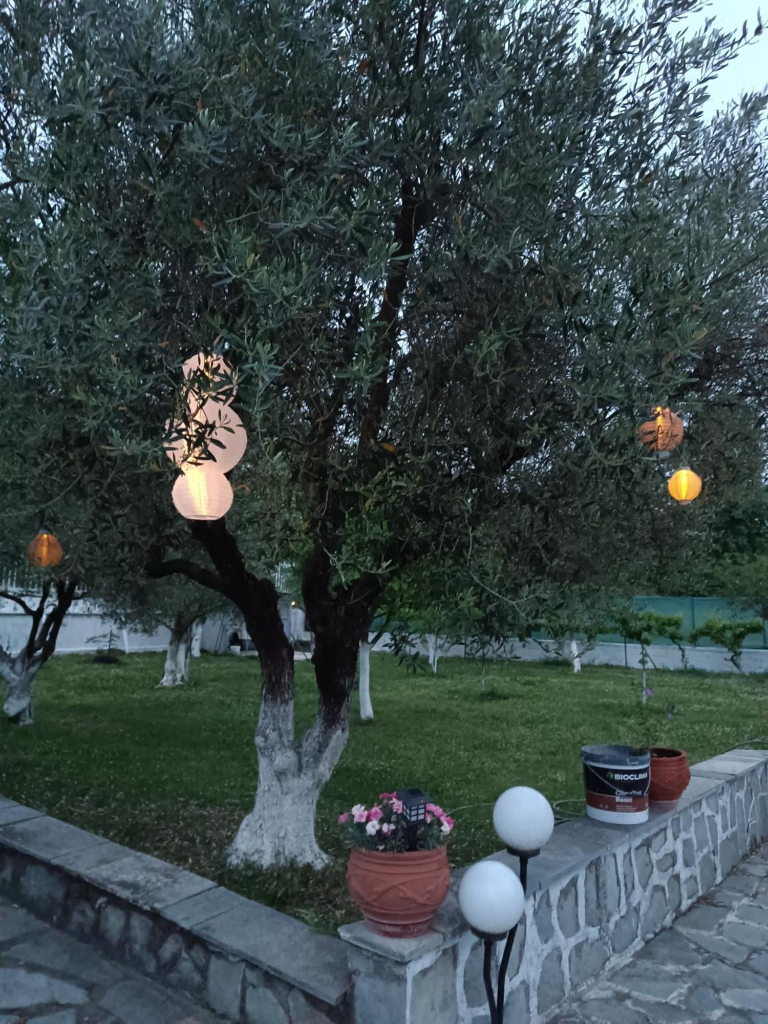 Pomegranate Tree House - Meteora Konuk evi Kalampáka Dış mekan fotoğraf